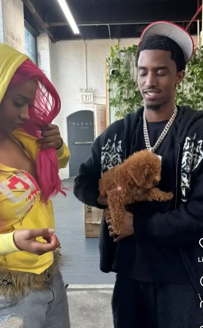 Puppies in Harlem, NY