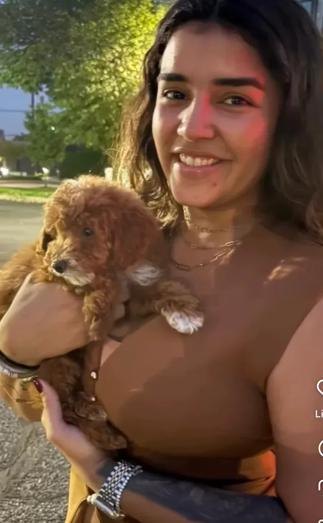 Puppy services in Tenafly, NJ