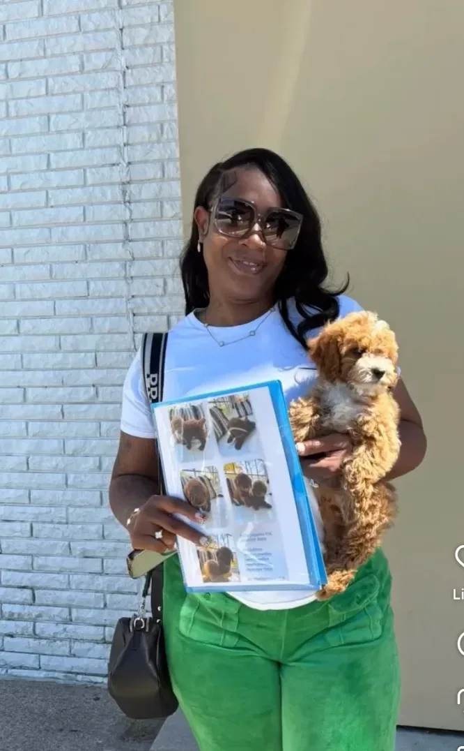 Bellapuppies in Harlem