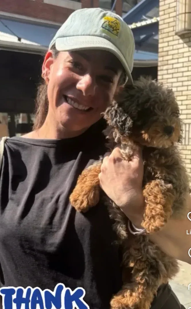 Fort Lee, NJ Adopt a Puppy