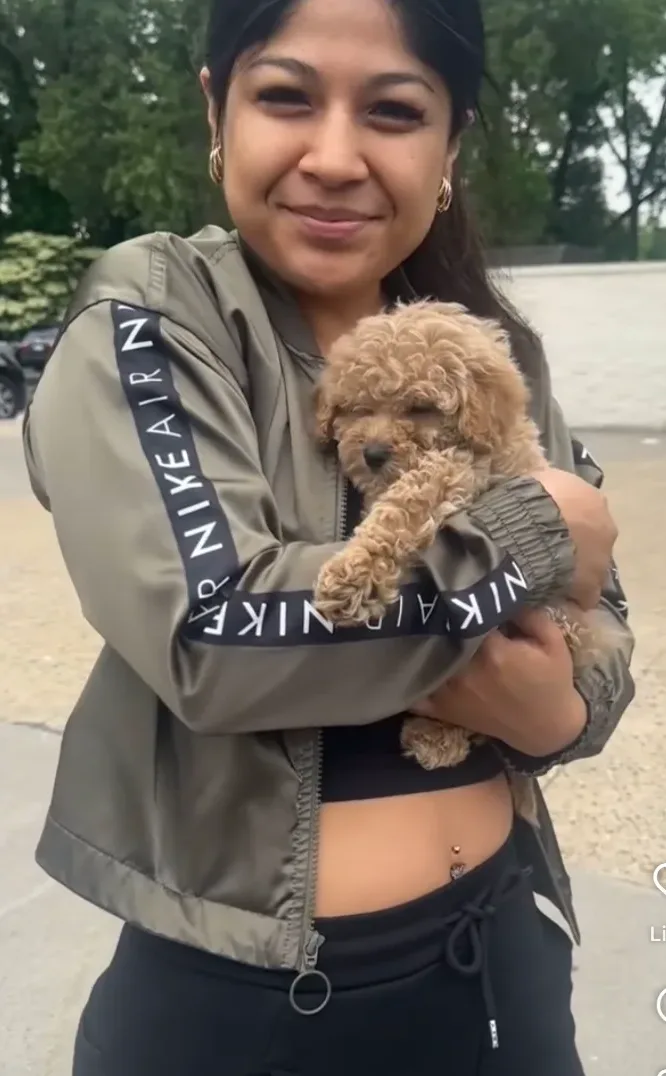 Puppy services in Englewood, NJ